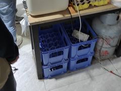 -马光荣肉丸糊辣汤(边东街店)
