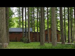 -黄海国家森林公园