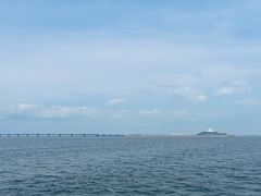 -招商蛇口邮轮母港(观光客运)