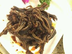 -新聚丰菜馆(太监弄店)