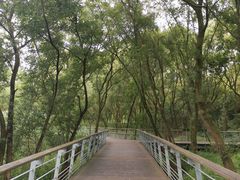 -西湖风景区-江洋畈生态公园