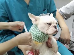 -联合动物医院(光谷诊疗中心)