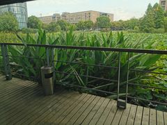 -3W咖啡(国家软件园店)