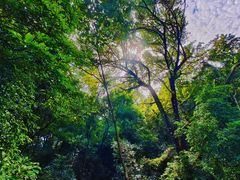 -飞霞风景名胜区