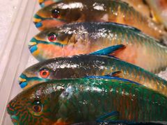 -Isla Sugbu Seafood City