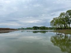 -东郊湿地公园
