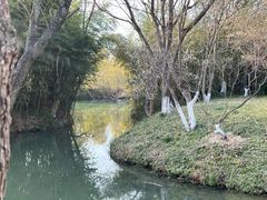 -西溪国家湿地公园