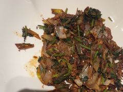 -秀儿四九城·新京菜(亚运村鸟巢店)