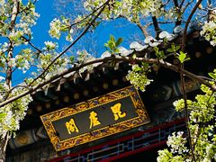 -潭柘寺景区