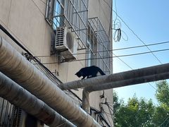 -王中王刨冰