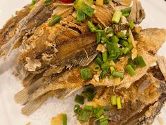 干炸野生小鲫鱼-万人缘酒楼