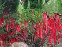 -沂蒙云瀑洞天景区