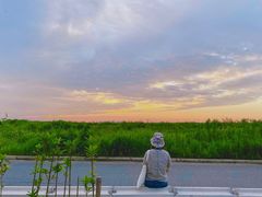 -南汇嘴观海公园