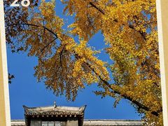 -华西坝(地铁站)