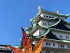 -名古屋城
