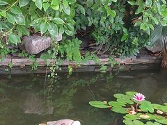 -南通中心濠河风景区圆融广场诺富特酒店