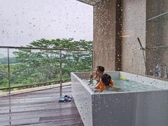 -深圳隐秀山居酒店