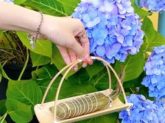 -GANSO元祖食品(滨湖万达店)