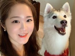 -Husky Go! 哈士奇体验馆·宠物咖啡厅狗咖