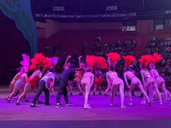 -俄罗斯国家大马戏团