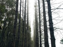 -同里国家湿地公园