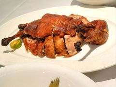 -圆苑(静安寺店)