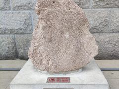 -中国地质博物馆