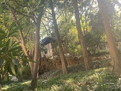 -汇龙潭