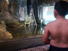 -南京汤山紫清湖生态旅游温泉度假区