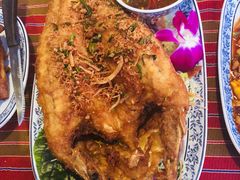 -卷心菜和避孕套餐厅(Pattaya)