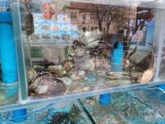 -富临港·蒸汽海鲜·手抓海鲜·炒菜(栈桥店)