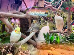 -正佳雨林生态植物园