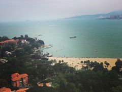 绿化-鼓浪屿琴海庄园海景酒店