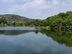 -白马涧龙池景区