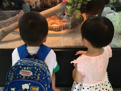 -屯门公园