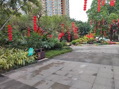 -晓港公园