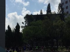 -大埔公路-马料水段香港中文大学(公交站)