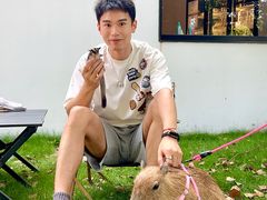 -J Create城市露营咖啡·简餐·宠物(上海动物园店)