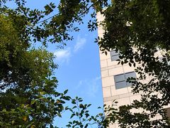 -杭州君悦酒店·青莳