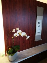 -涂tu指甲日式美甲美睫店