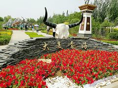 -武清南湖绿博园