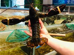 -海蓝海鲜馆(五四北店)