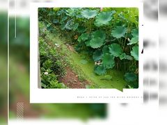 -三圣里·中餐宴请·自助烤肉·烤全羊·柴火鸡(旗舰店)