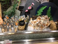 -盛宴自助餐厅(运达喜来登店)