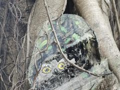 -人民公园(罗湖区)