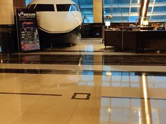 -上海浦东华美达大酒店