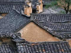 -杨家堂村