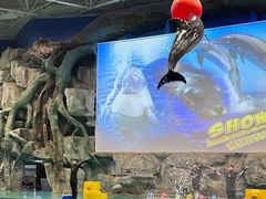 -威海华夏城景区