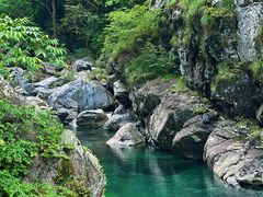-石台牯牛降景区