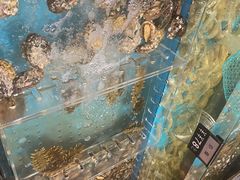 -舌尖上·霞浦滩涂海鲜·新闽菜(总店)